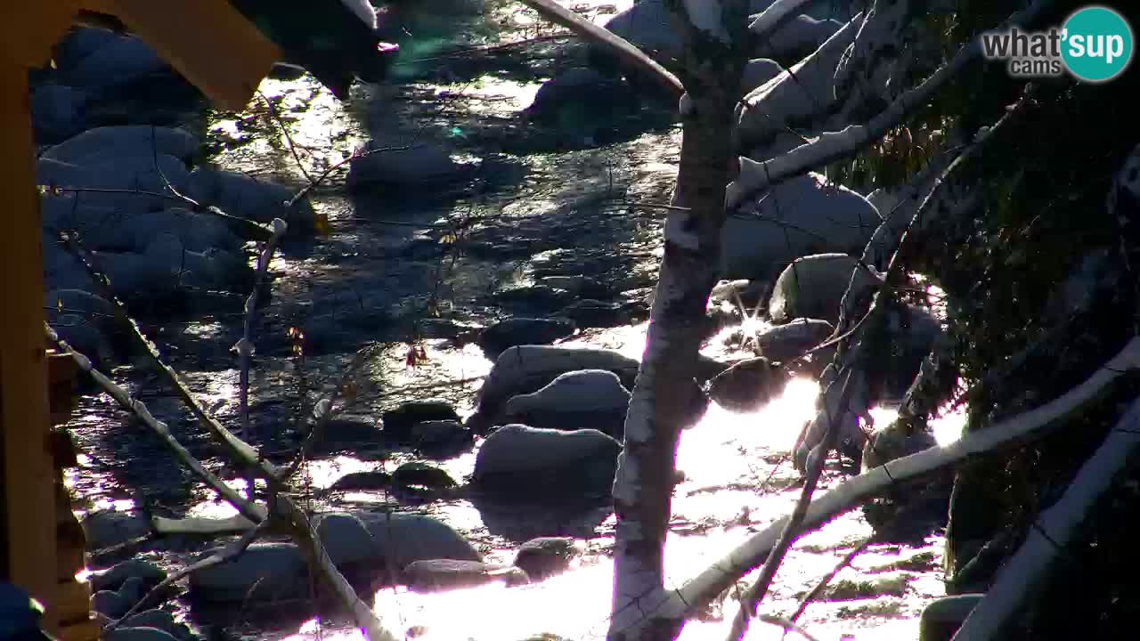 Webcam Lukanja – Pohorje houses a Water village