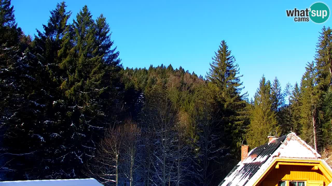 Webcam Lukanja – Water Village | Pohorje Houses