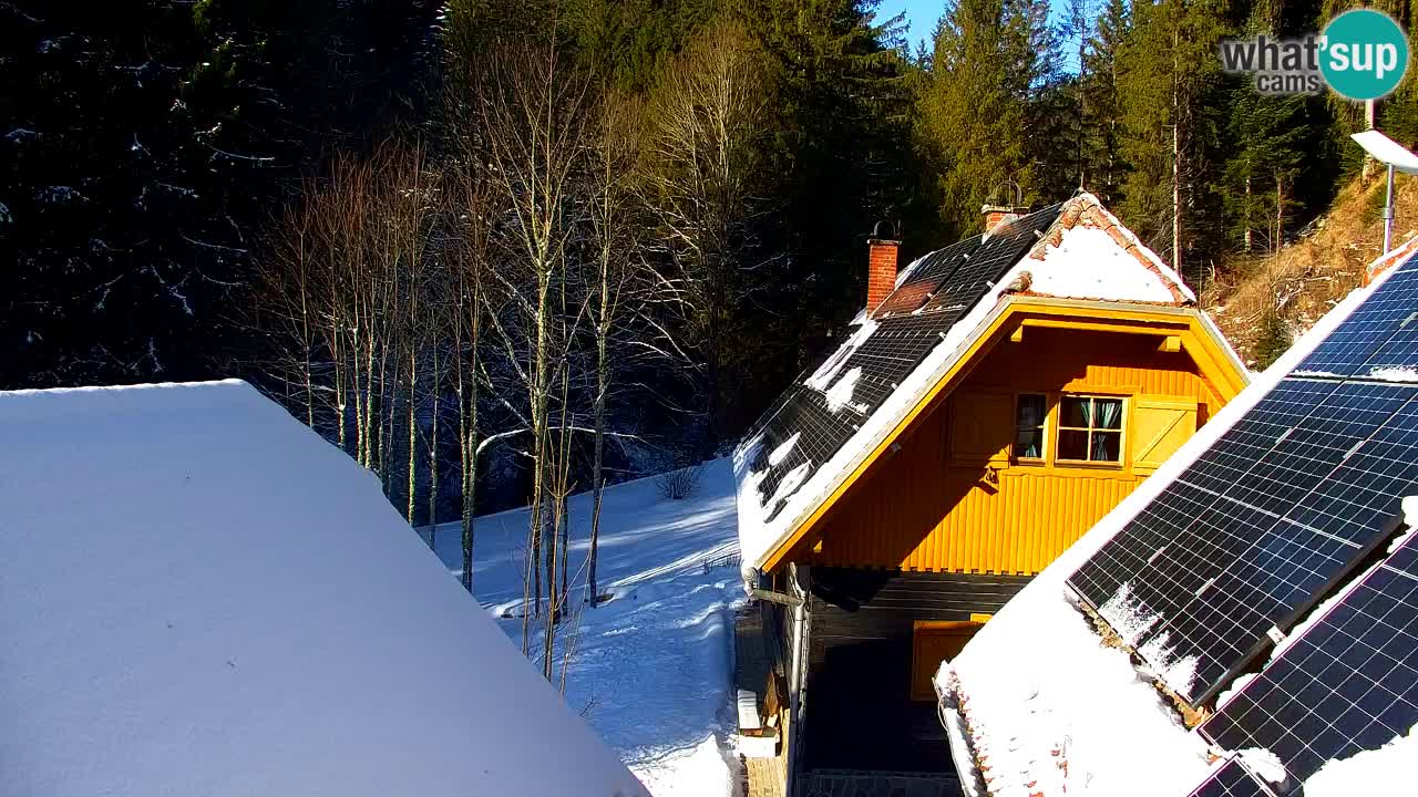 Webcam Lukanja – Pohorje houses a Water village