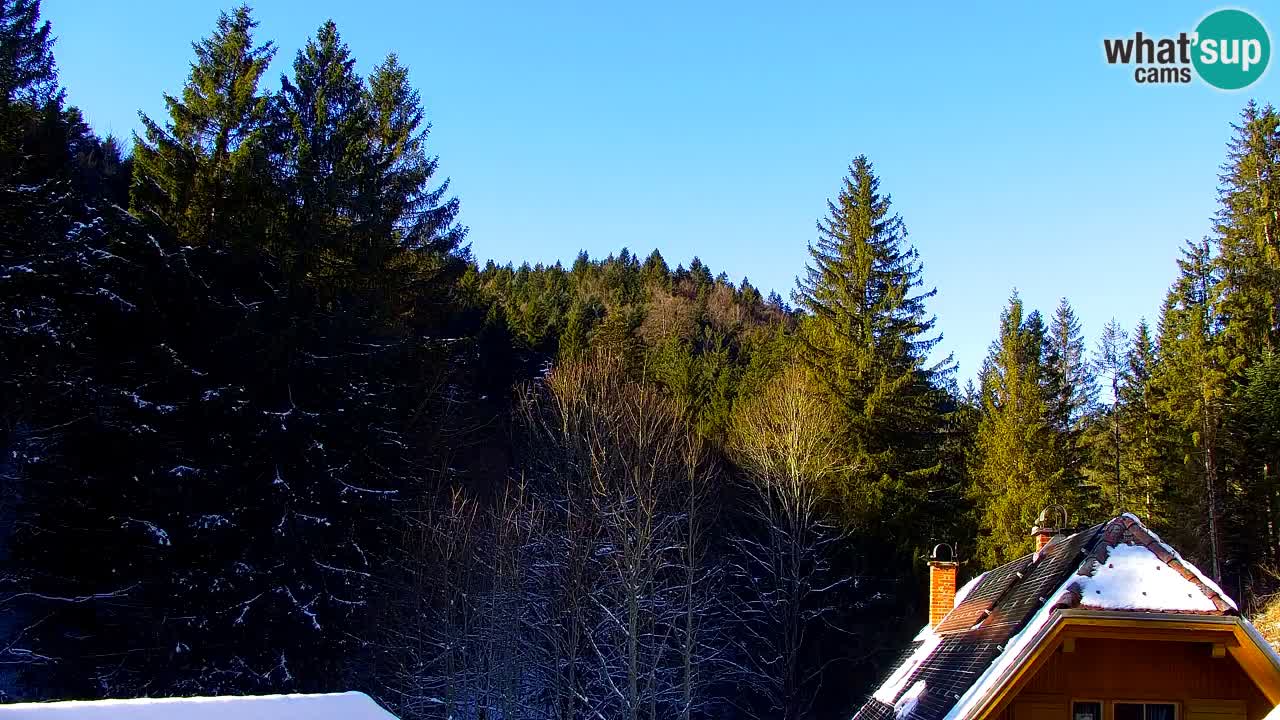 Webcam Lukanja – Pohorje houses a Water village