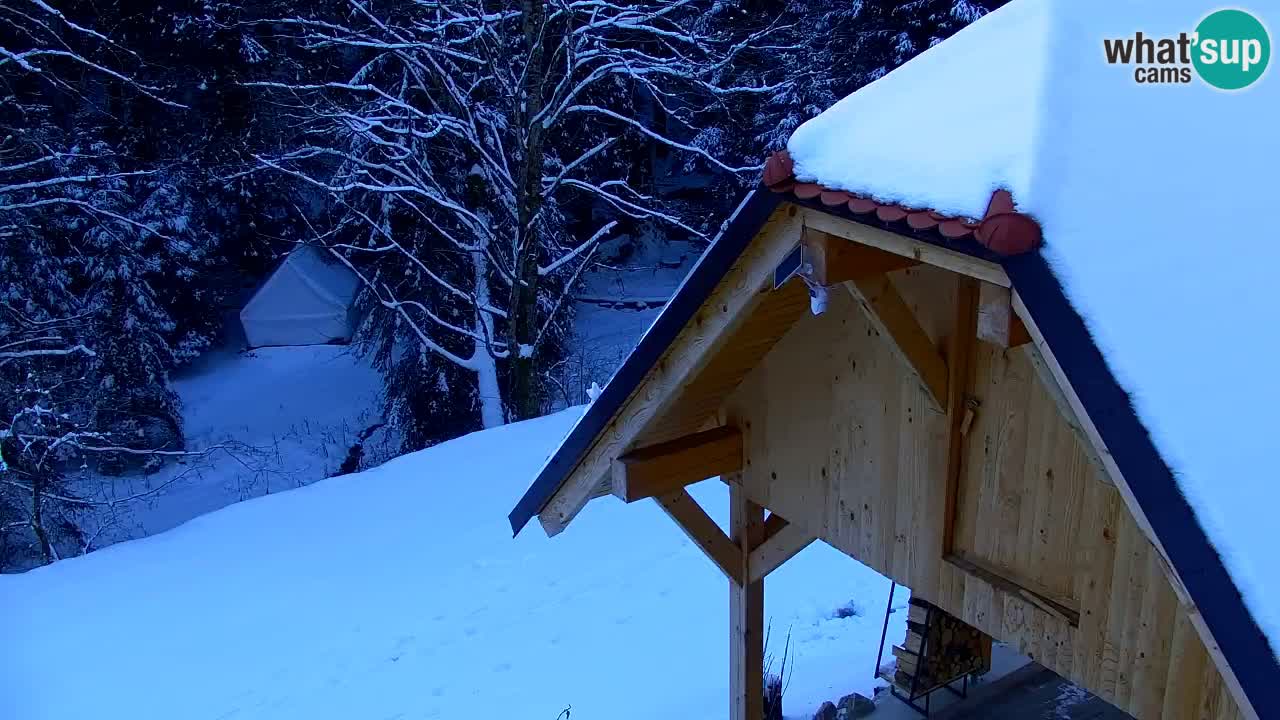 Webcam Lukanja – Water Village | Pohorje Houses