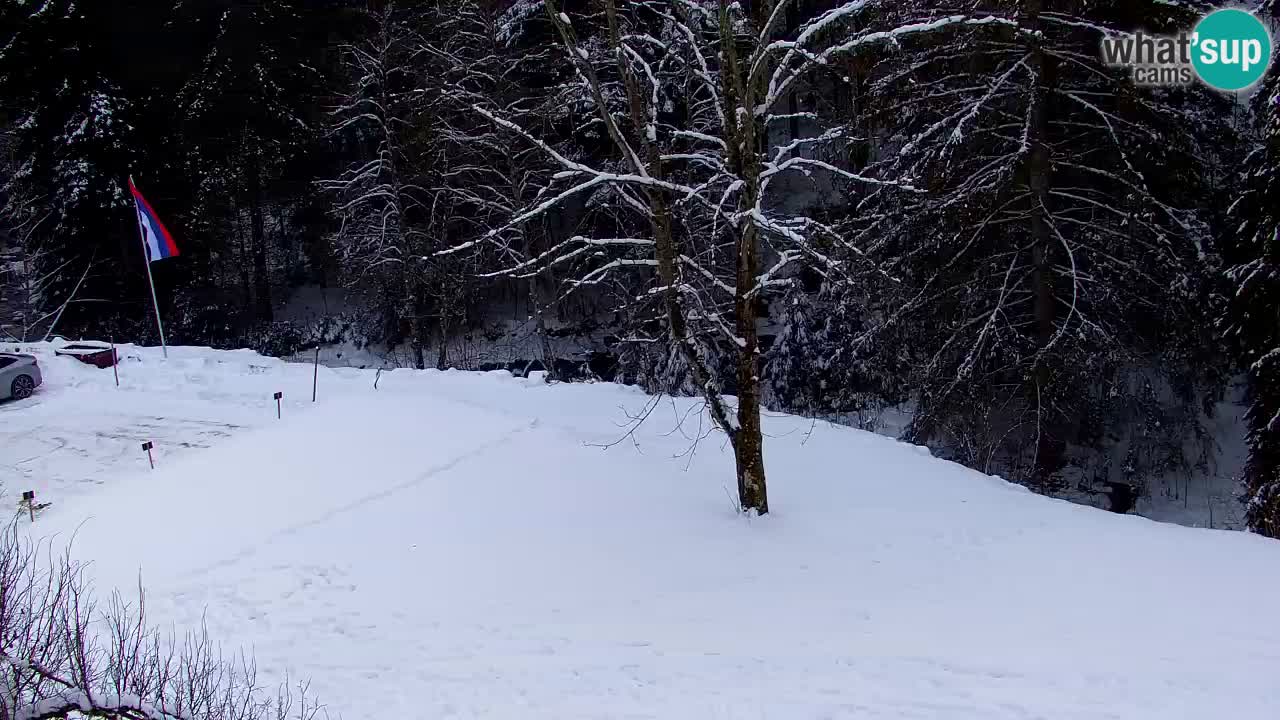 Webcam Lukanja – Water Village | Pohorje Houses