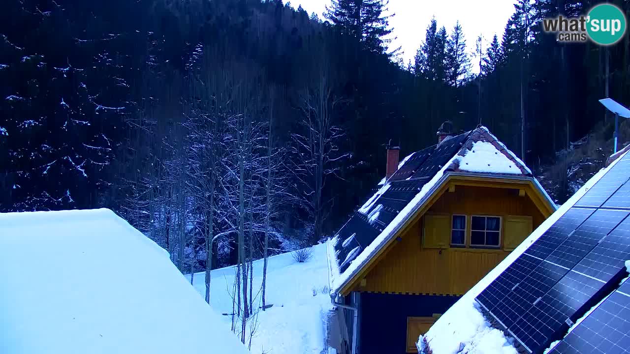 Webcam Lukanja – Water Village | Pohorje Houses