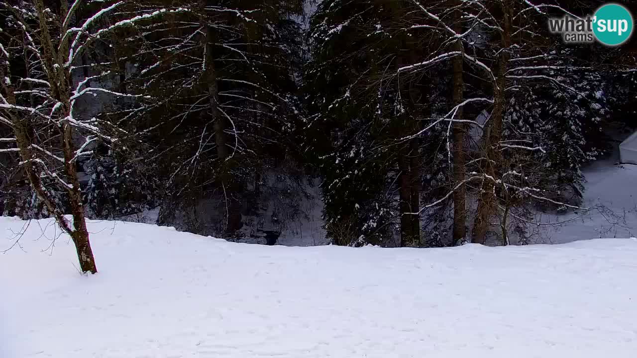 Webcam Lukanja – Water Village | Pohorje Houses