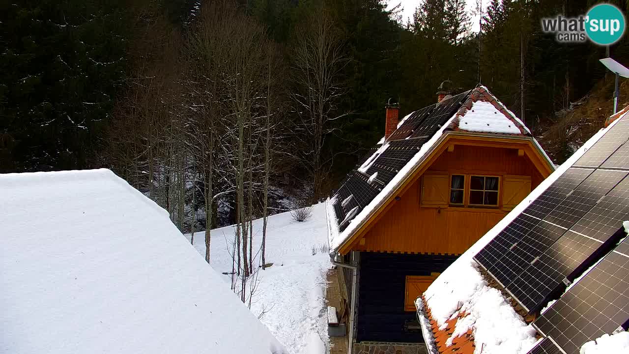 Spletna kamera Lukanja – Water Village | Pohorje Houses