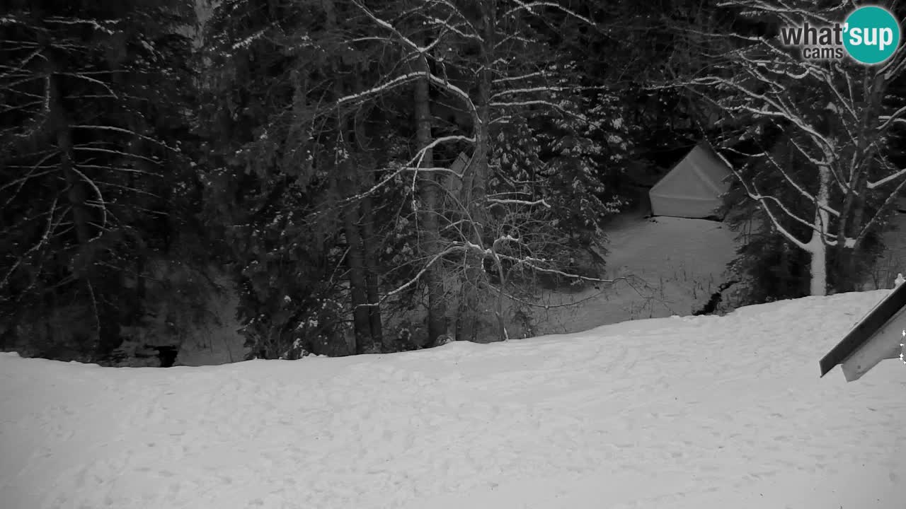 Webcam Lukanja – Water Village | Pohorje Houses