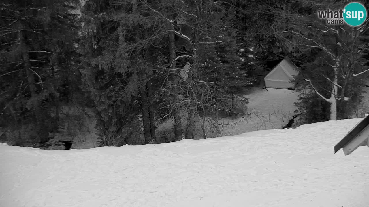 Webcam Lukanja – Water Village | Pohorje Houses