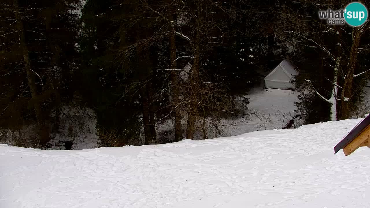 Webcam Lukanja – Water Village | Pohorje Houses