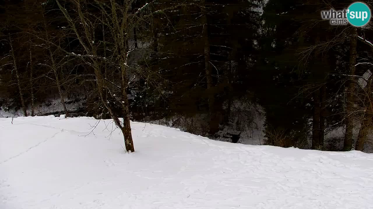 Webcam Lukanja – Pohorje houses a Water village