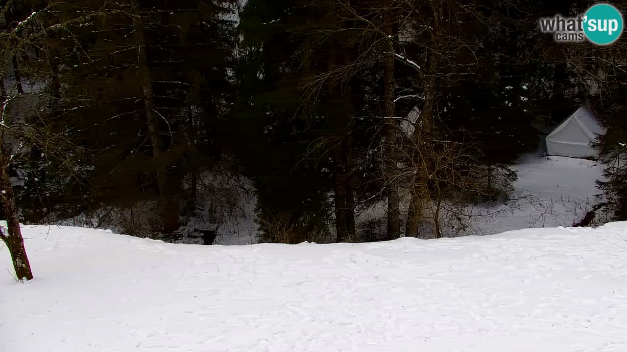 Webcam Lukanja – Pohorje houses a Water village