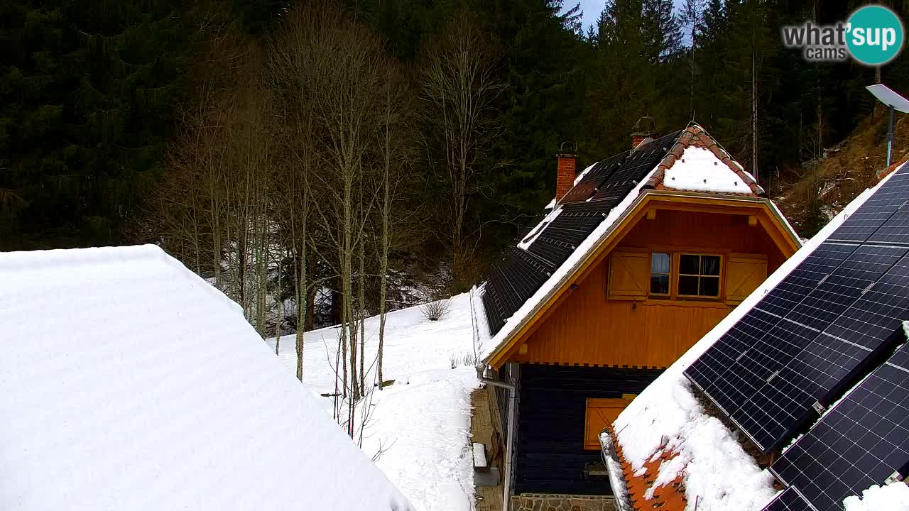 Web kamera Lukanja – Water Village | Pohorje Houses
