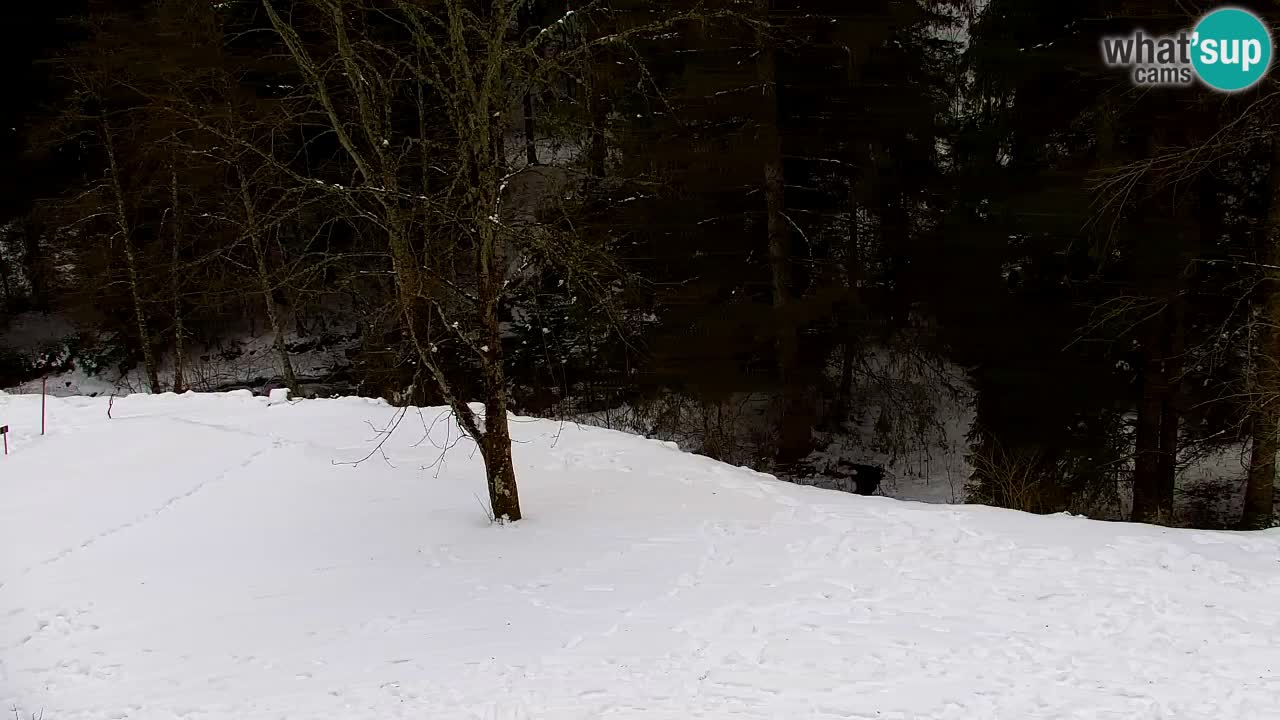 Webcam Lukanja – Water Village | Pohorje Houses