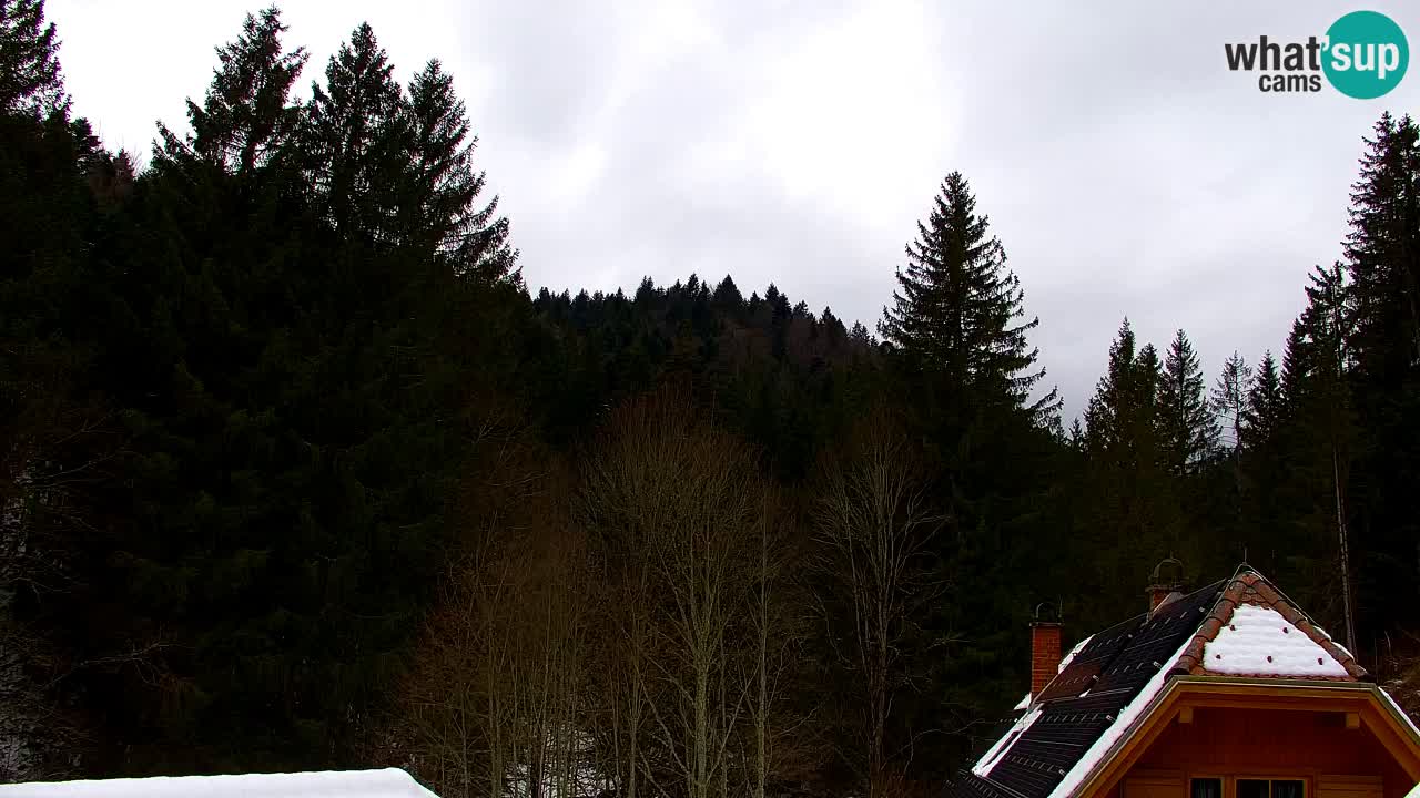 Web kamera Lukanja – Water Village | Pohorje Houses