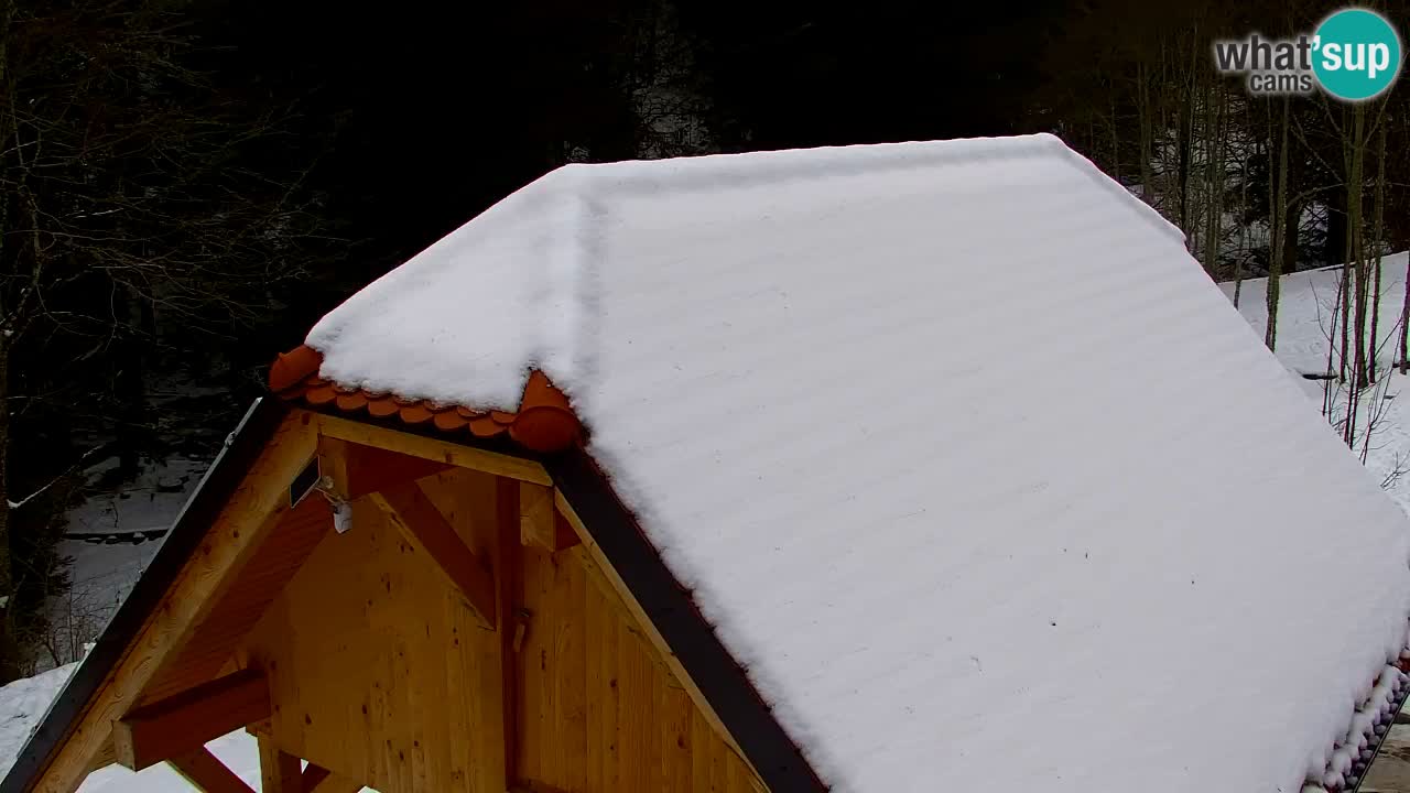 Web kamera Lukanja – Water Village | Pohorje Houses