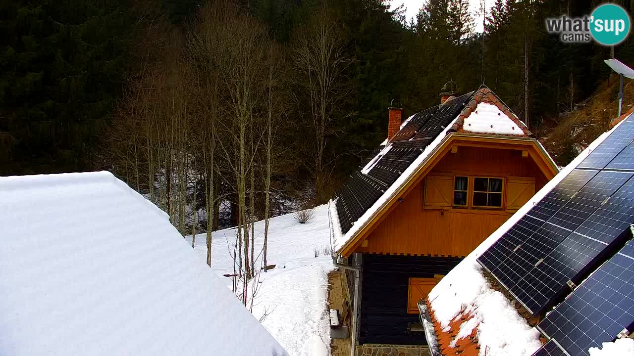 Webcam Lukanja – Water Village | Pohorje Houses