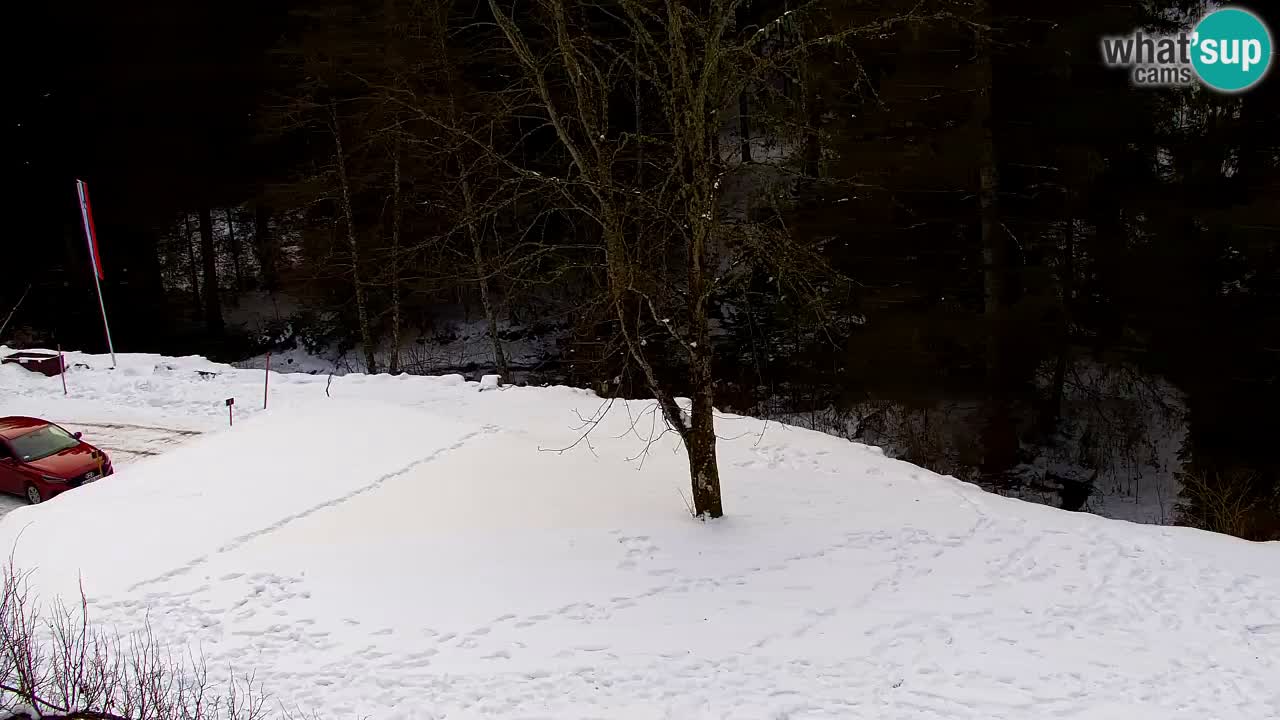 Webcam Lukanja – Pohorje houses a Water village