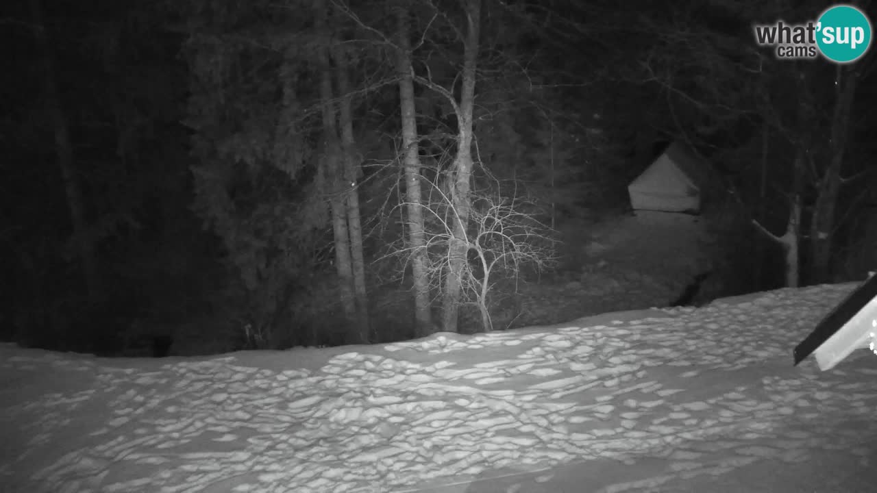 Webcam Lukanja – Water Village | Pohorje Houses