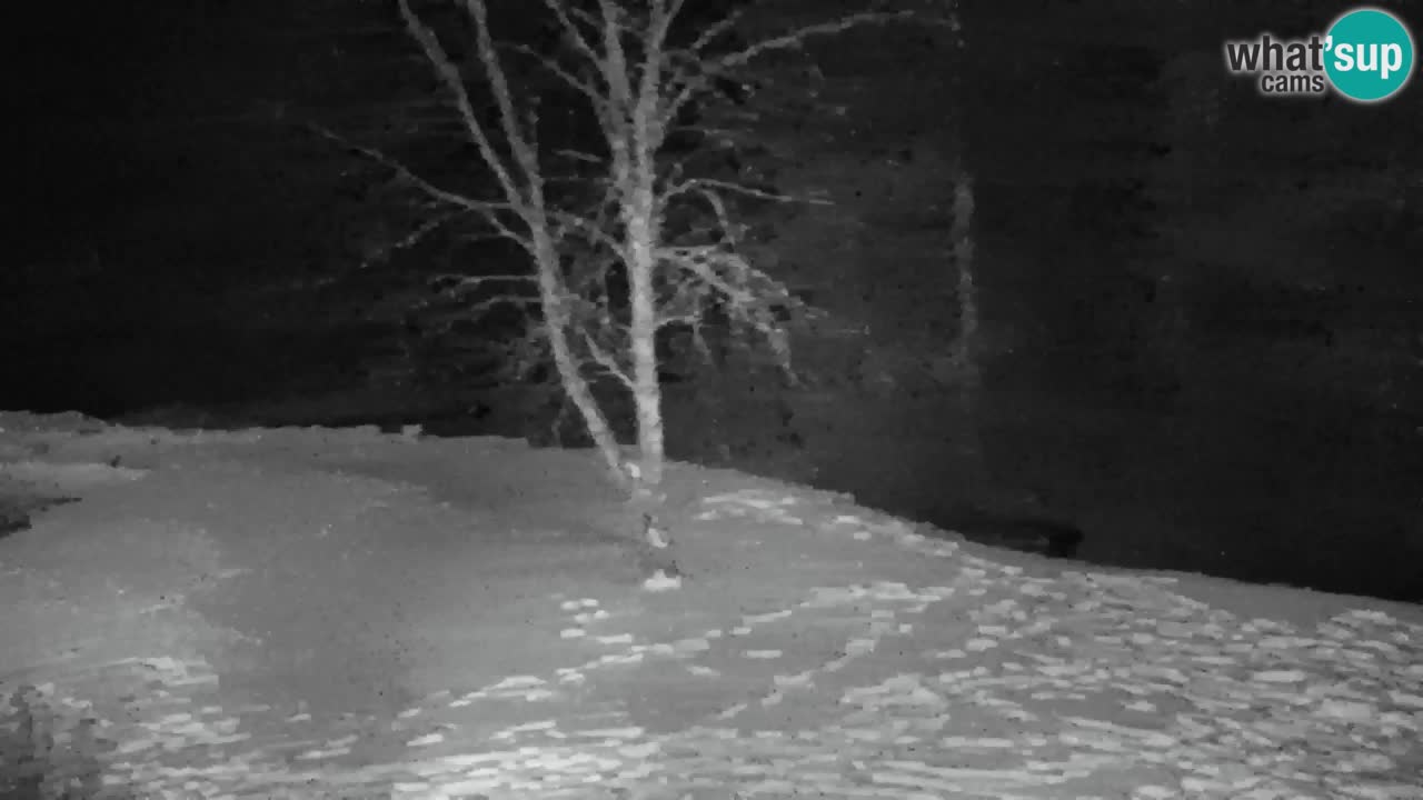 Webcam Lukanja – Pohorje houses a Water village