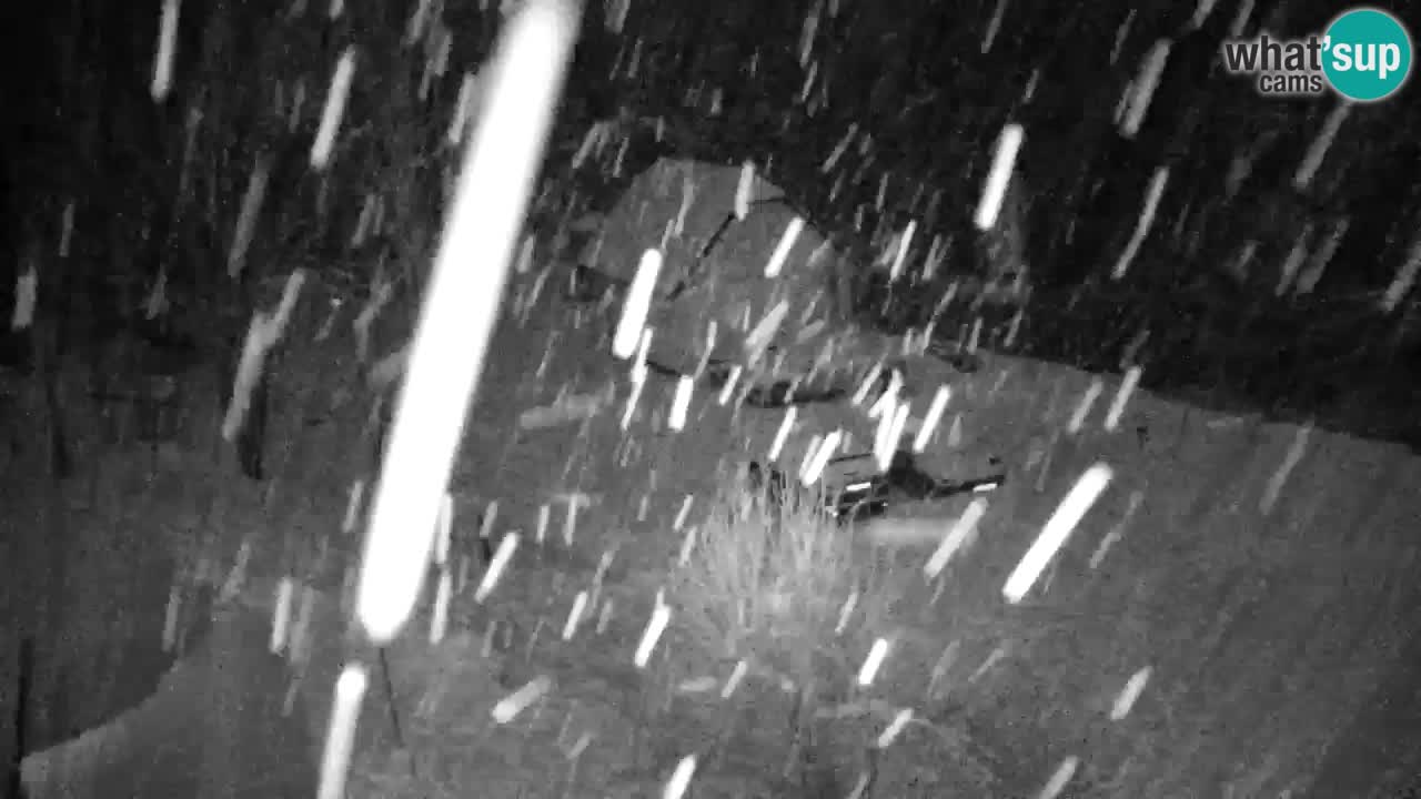 Webcam Lukanja – Water Village | Pohorje Houses