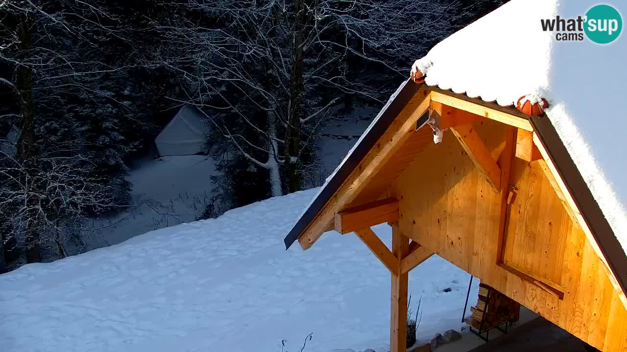 Webcam Lukanja – Pohorje houses a Water village