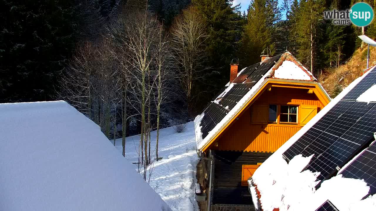 Web kamera Lukanja – Water Village | Pohorje Houses