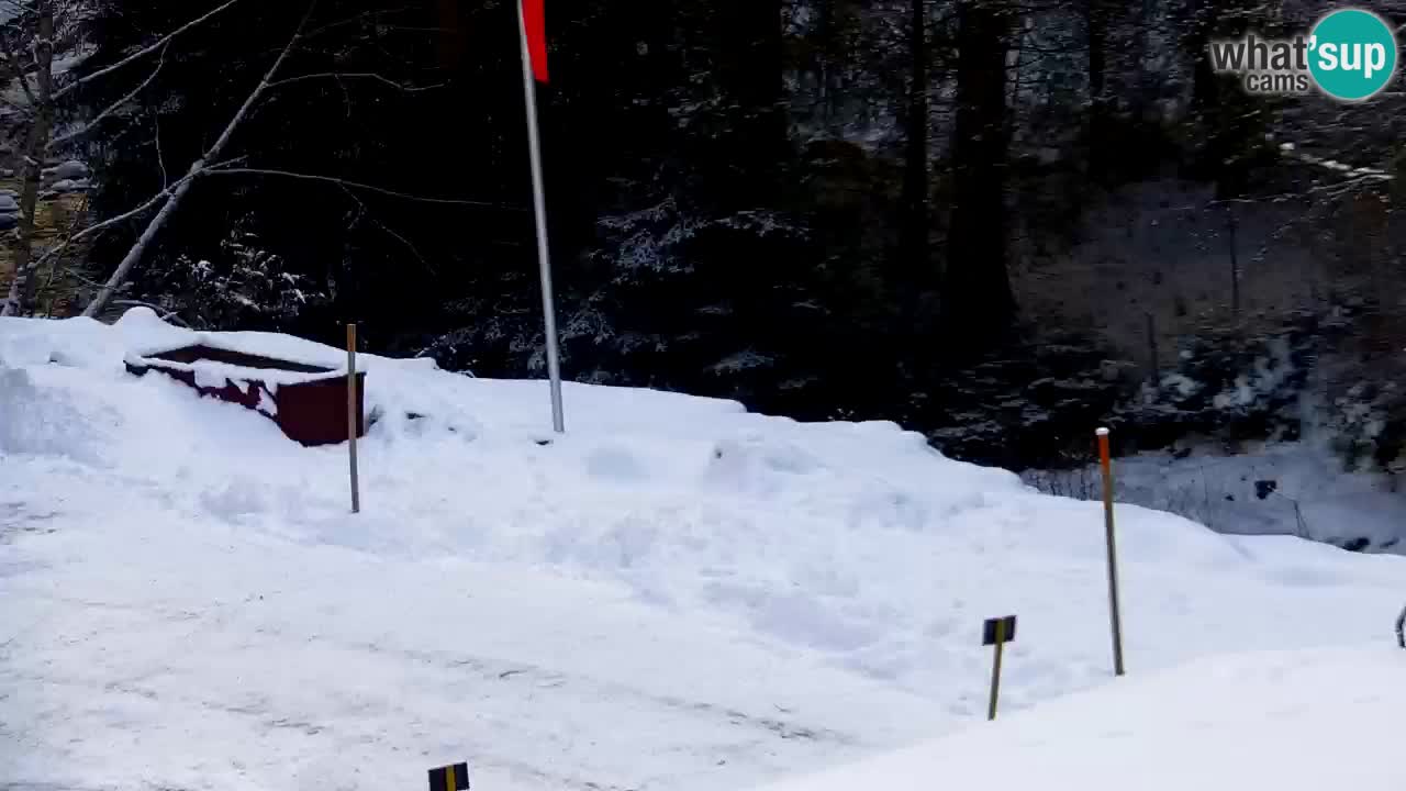 Webcam Lukanja – Water Village | Pohorje Houses