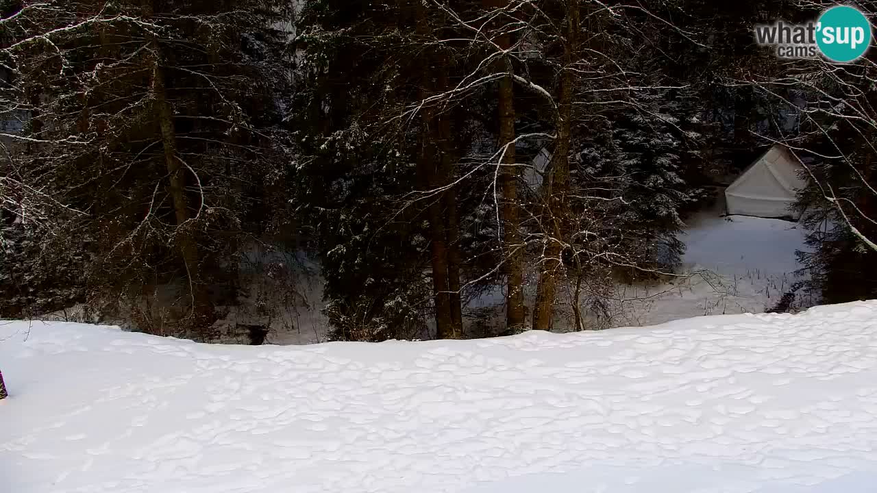 Webcam Lukanja – Water Village | Pohorje Houses