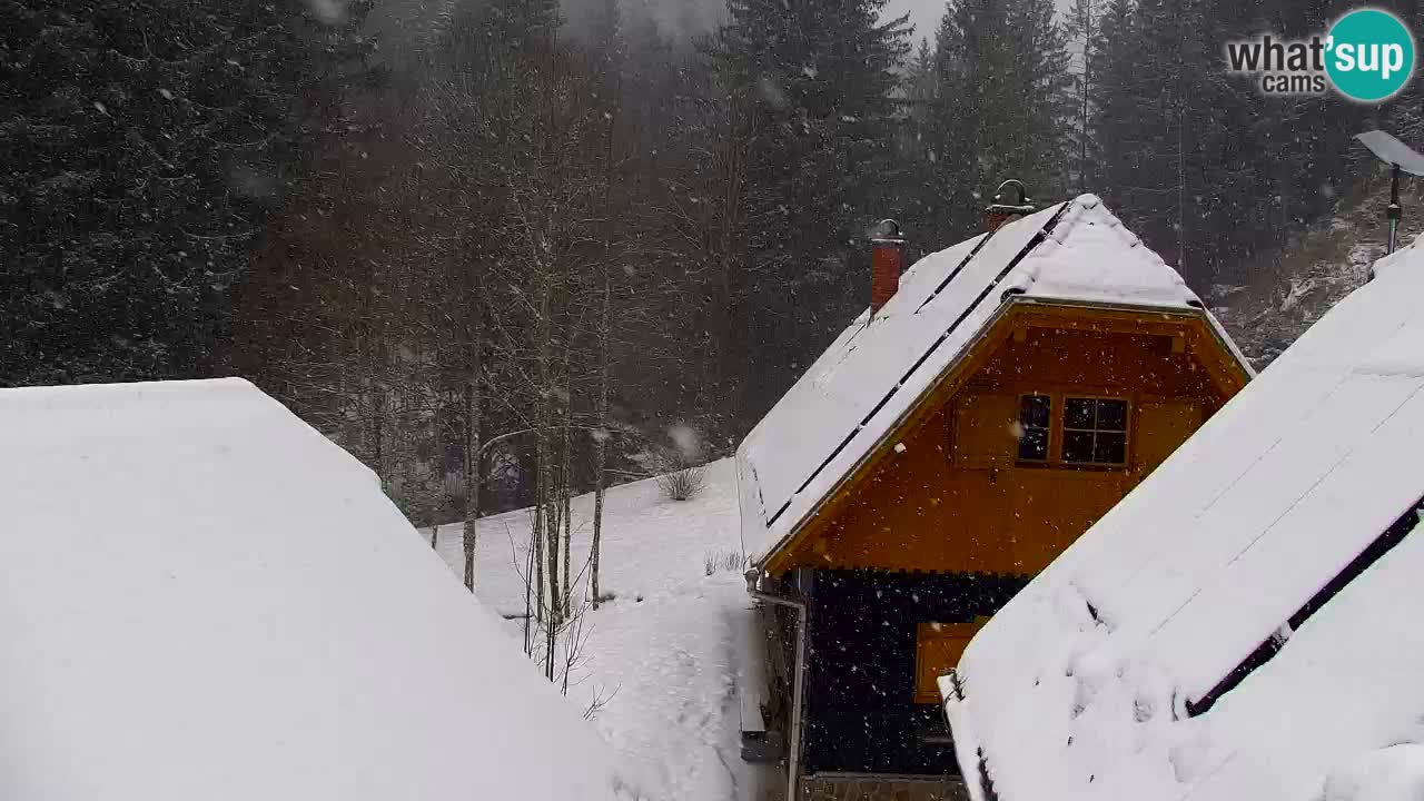 Webcam Lukanja – Water Village | Pohorje Houses