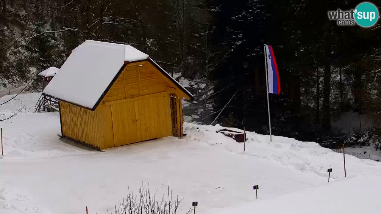 Webcam Lukanja – Water Village | Pohorje Houses