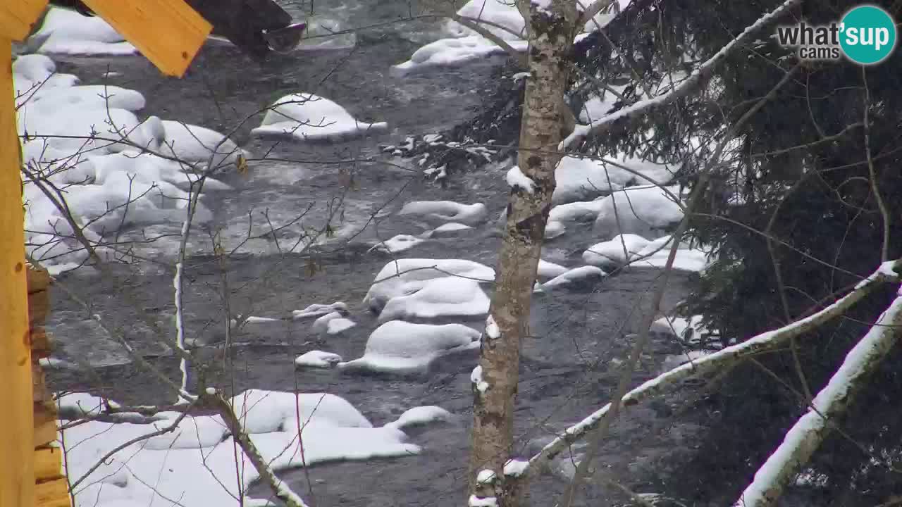 Webcam Lukanja – Pohorje houses a Water village