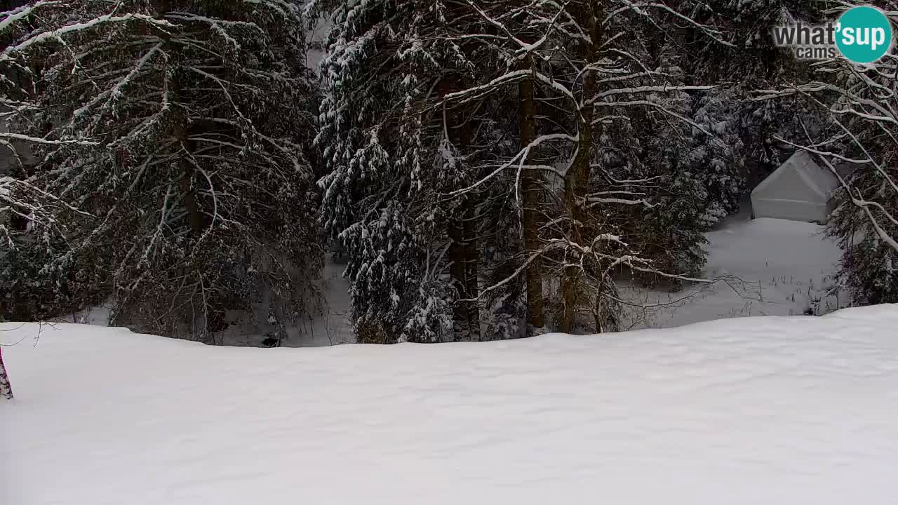 Webcam Lukanja – Water Village | Pohorje Houses