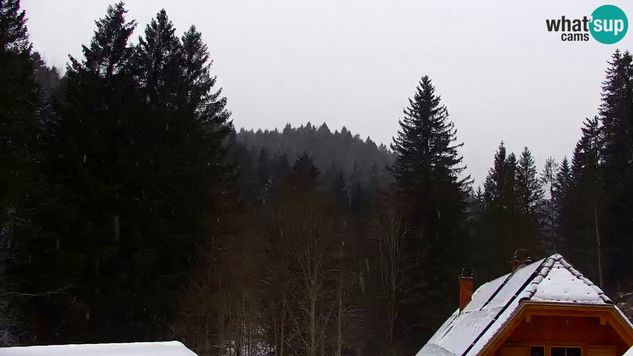 Webcam Lukanja – Water Village | Pohorje Houses