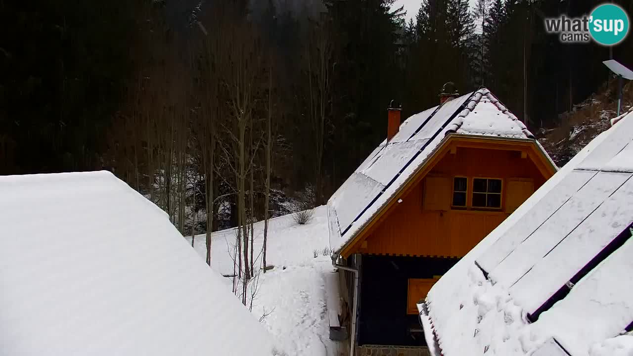 Webcam Lukanja – Water Village | Pohorje Houses