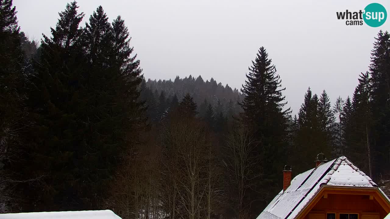 Webcam Lukanja – Pohorje houses a Water village