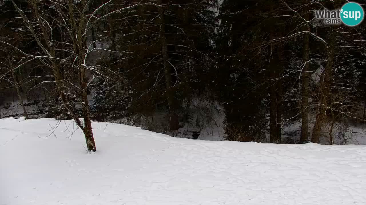 Webcam Lukanja – Pohorje houses a Water village