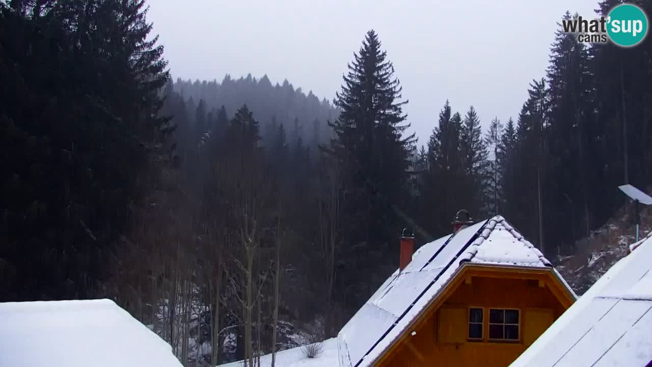 Webcam Lukanja – Pohorje houses a Water village