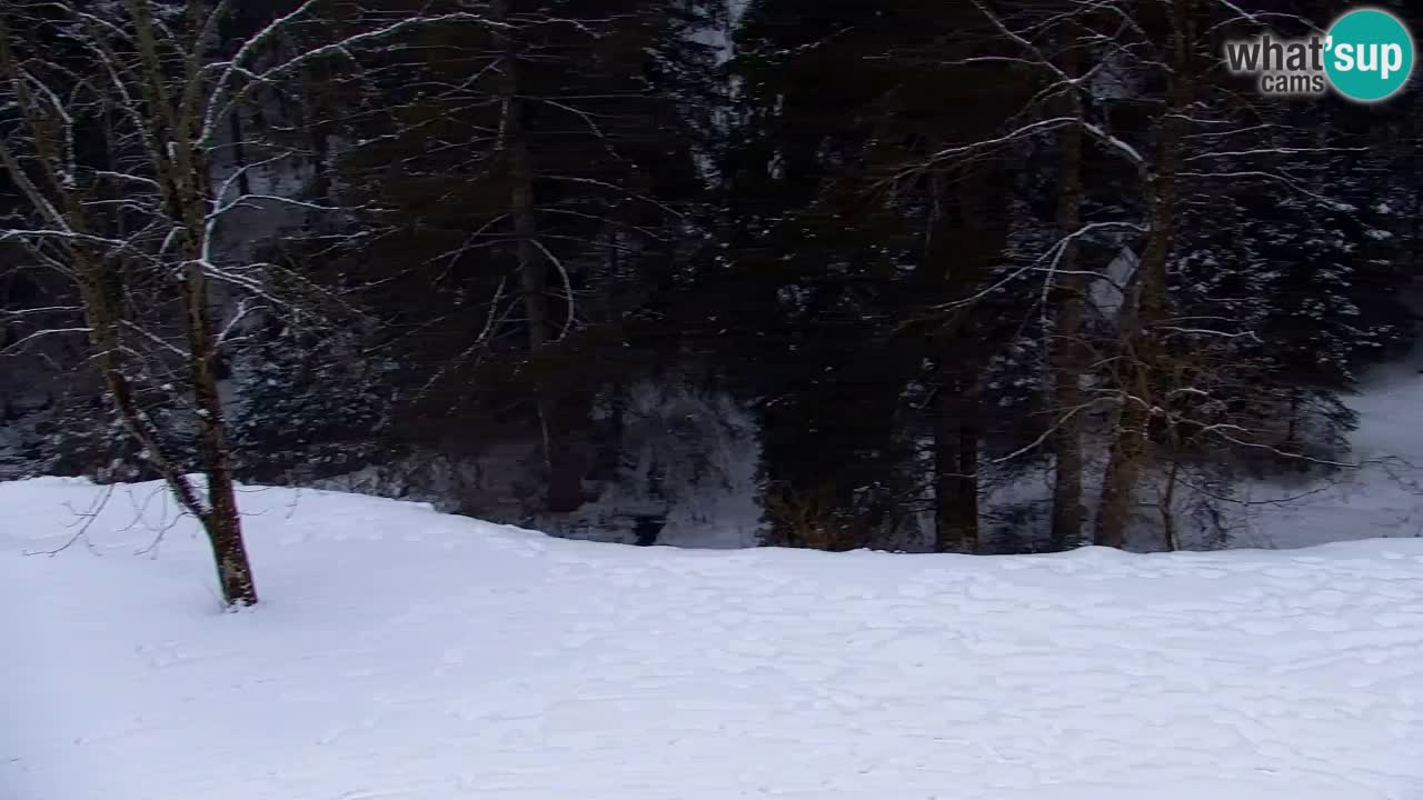 Webcam Lukanja – Water Village | Pohorje Houses