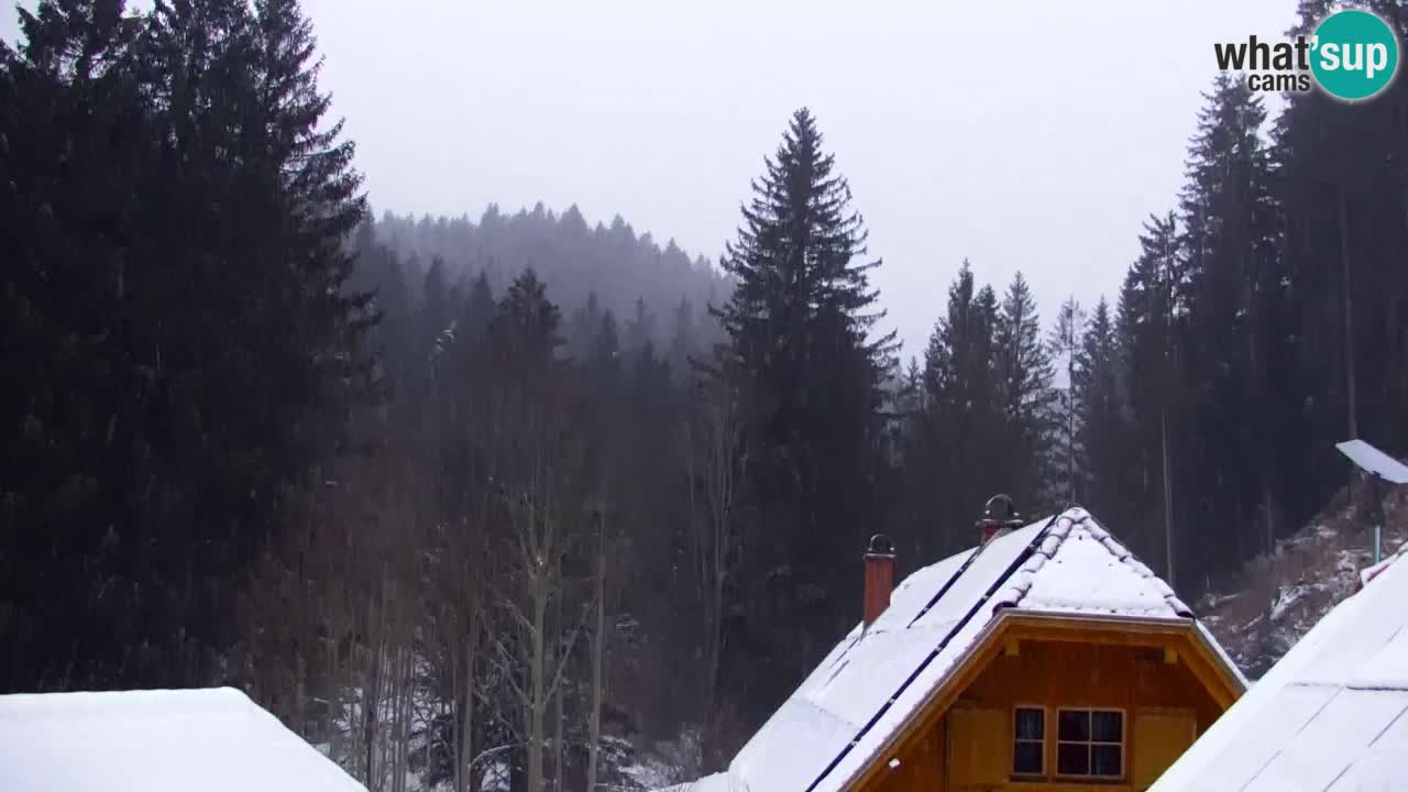 Webcam Lukanja – Pohorje houses a Water village