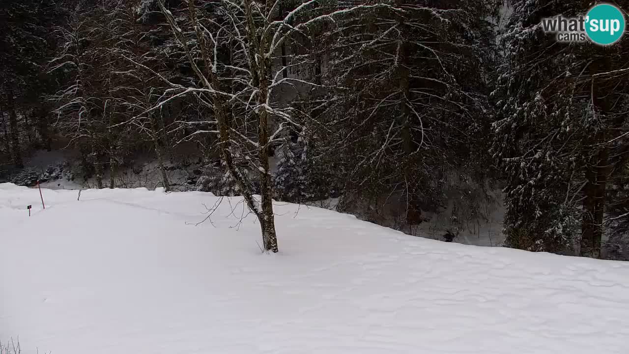 Webcam Lukanja – Pohorje houses a Water village