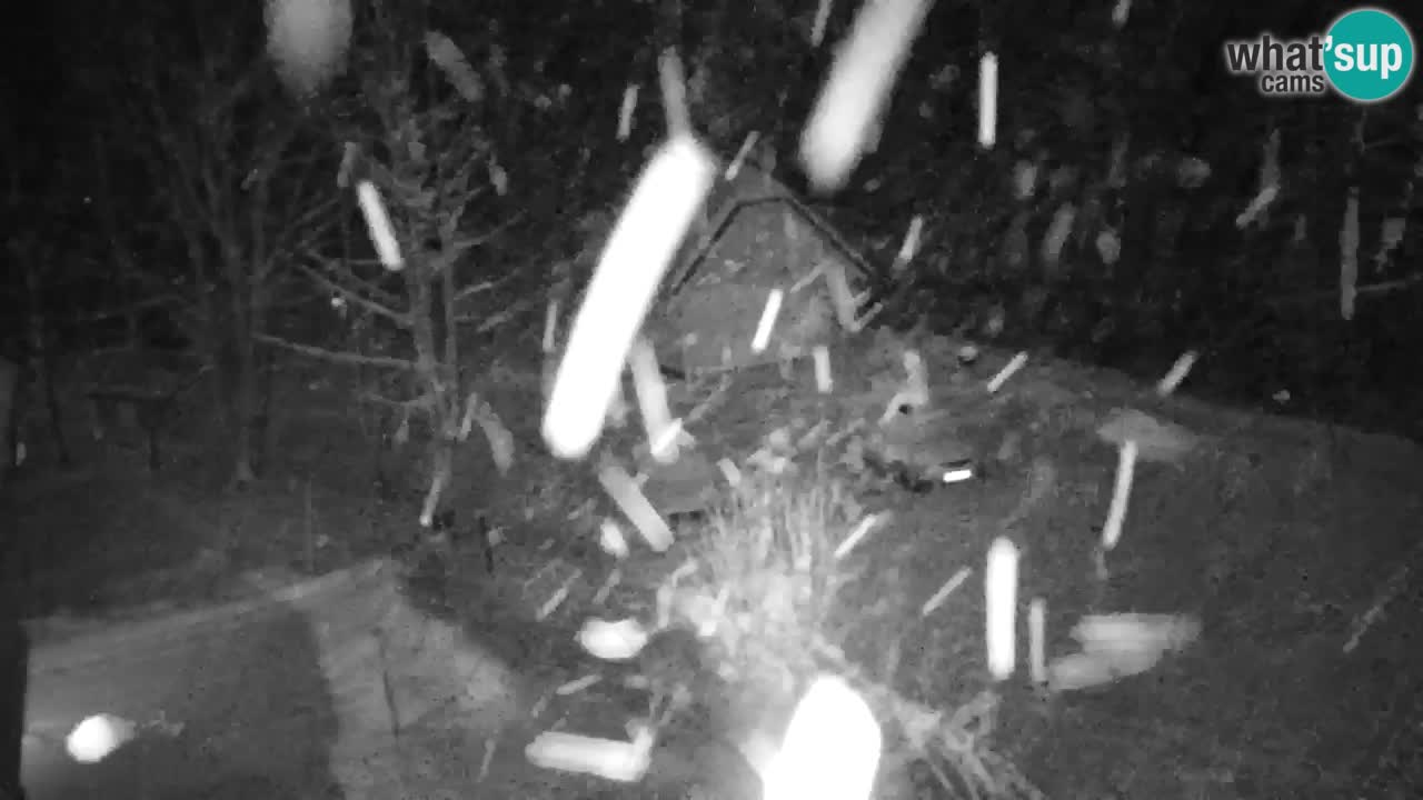 Webcam Lukanja – Water Village | Pohorje Houses