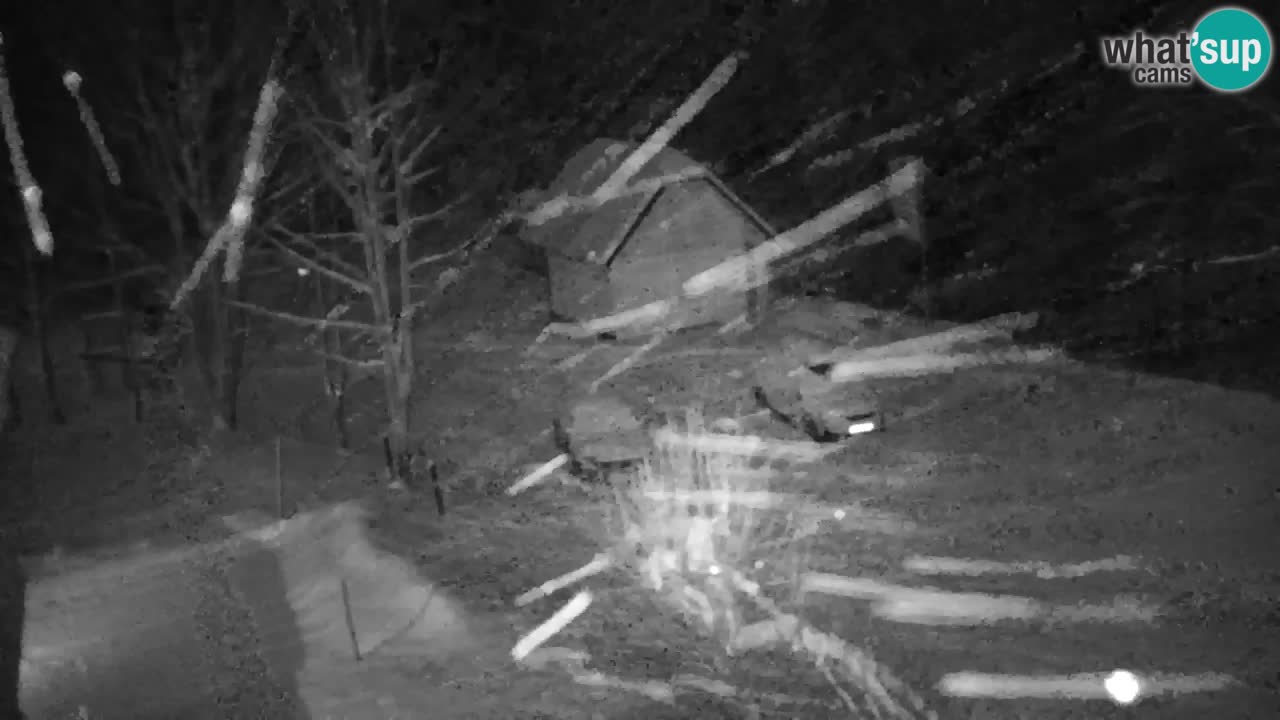 Spletna kamera Lukanja – Water Village | Pohorje Houses