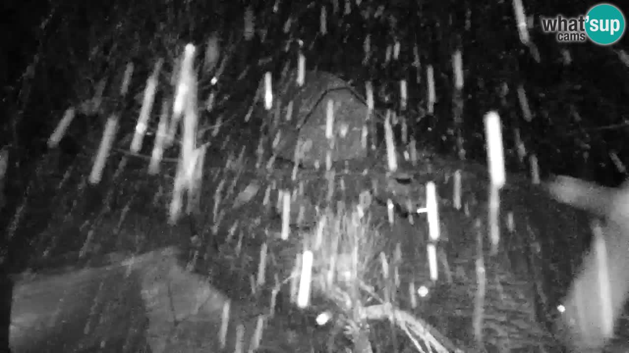 Webcam Lukanja – Water Village | Pohorje Houses