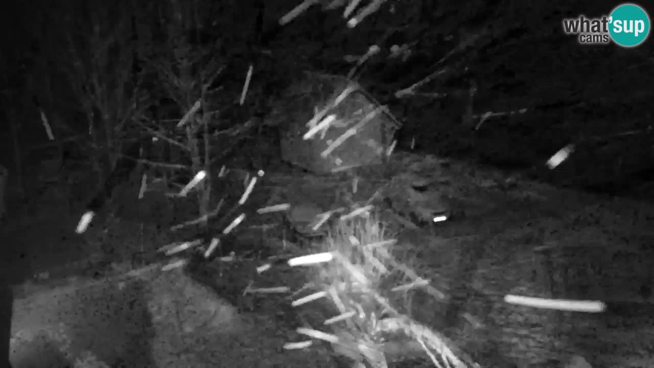 Spletna kamera Lukanja – Water Village | Pohorje Houses