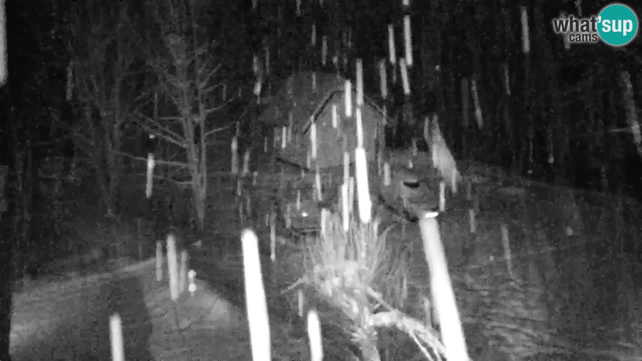 Spletna kamera Lukanja – Water Village | Pohorje Houses