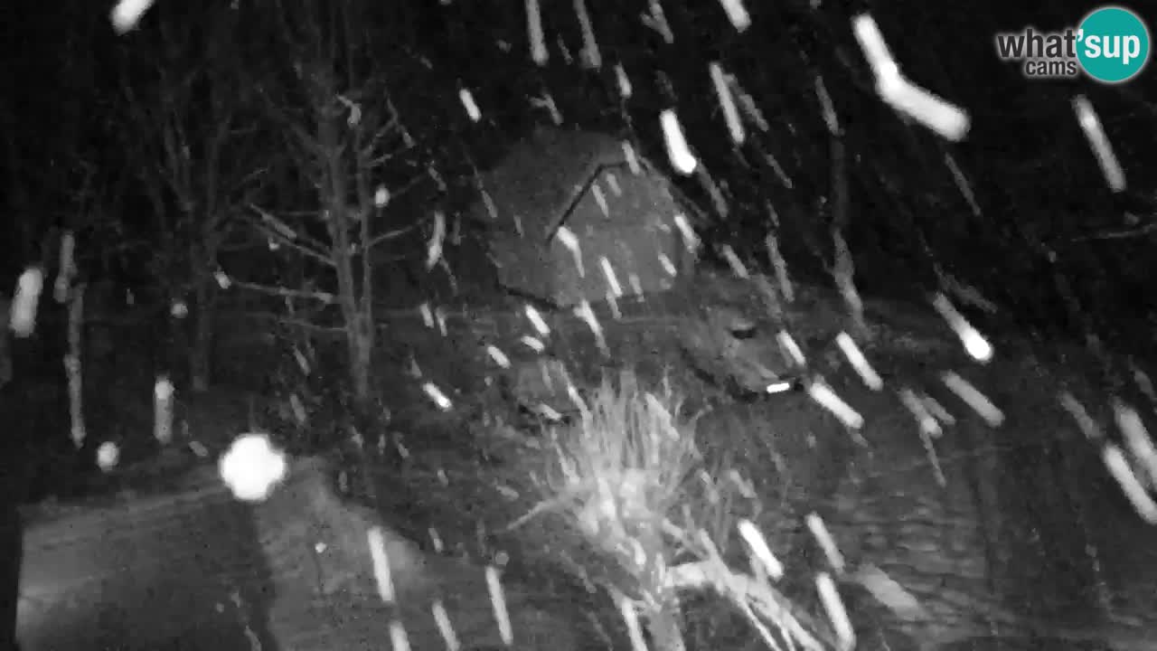 Spletna kamera Lukanja – Water Village | Pohorje Houses