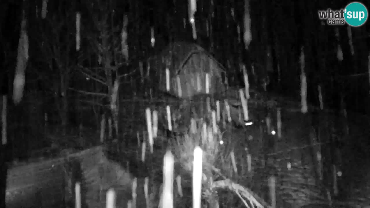 Webcam Lukanja – Water Village | Pohorje Houses