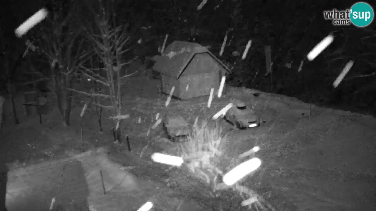 Webcam Lukanja – Water Village | Pohorje Houses