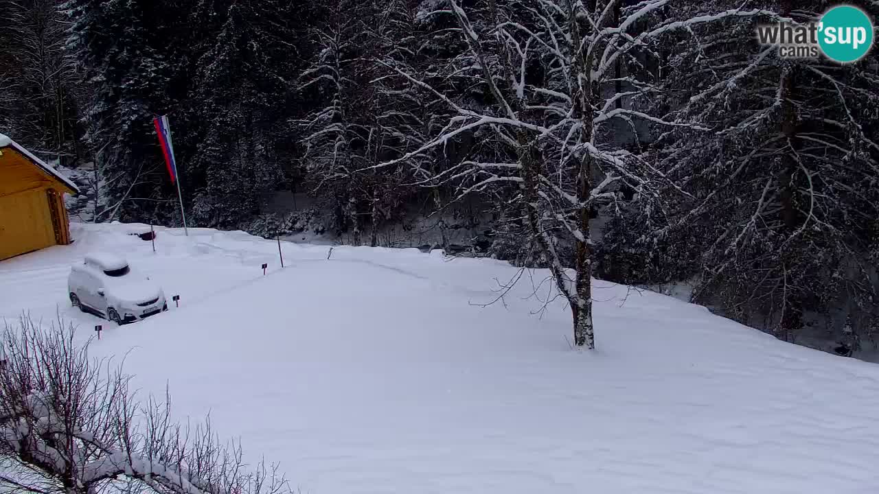 Webcam Lukanja – Water Village | Pohorje Houses