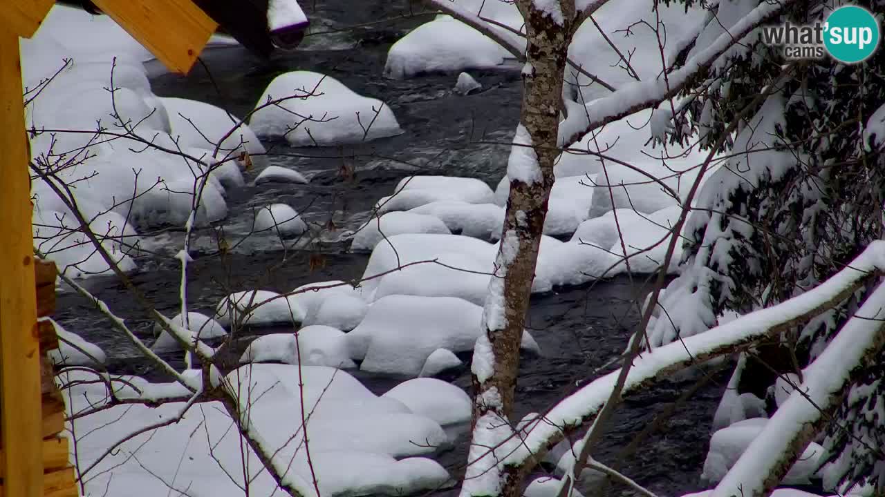 Webcam Lukanja – Pohorje houses a Water village