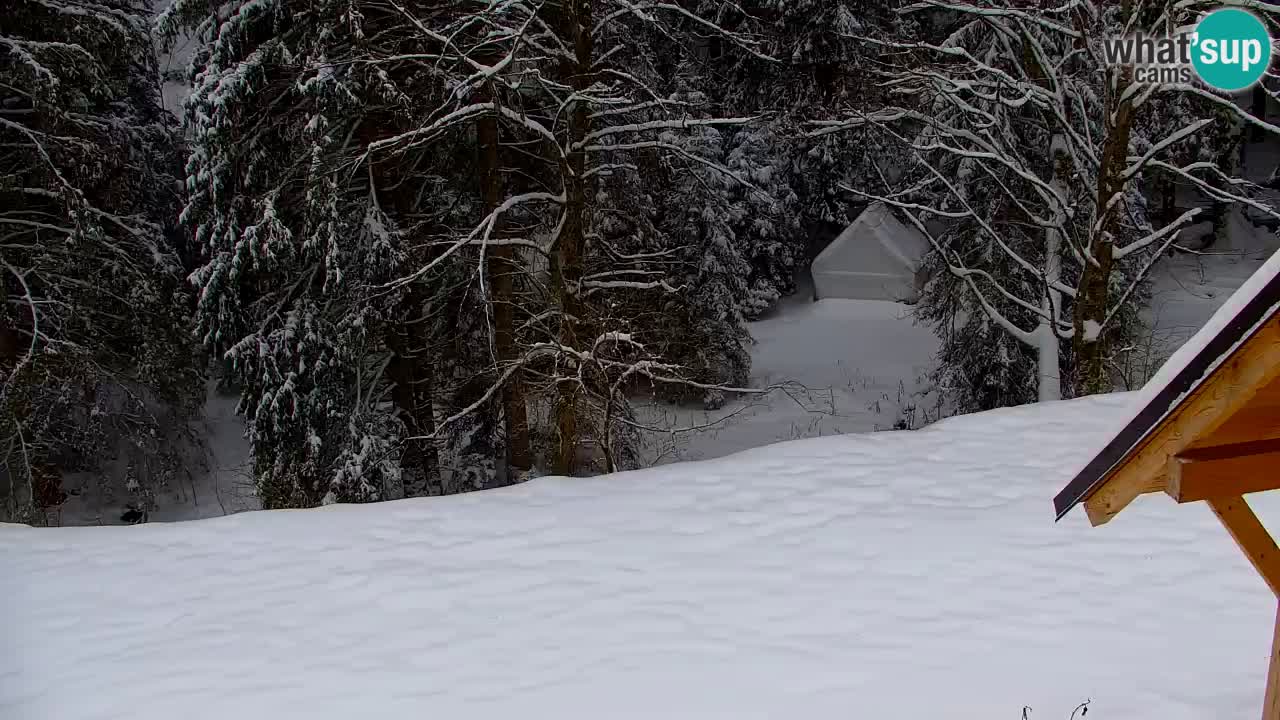 Spletna kamera Lukanja – Water Village | Pohorje Houses